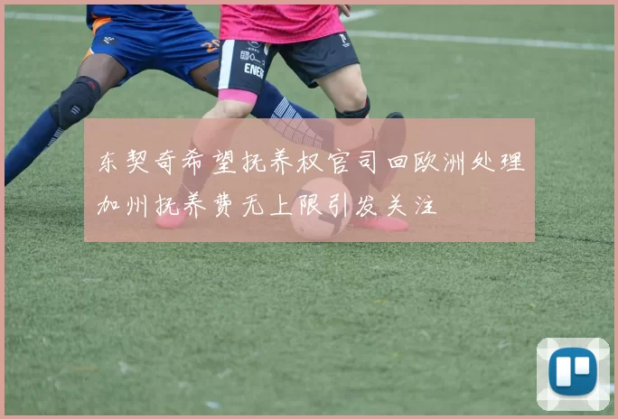 东契奇希望抚养权官司回欧洲处理加州抚养费无上限引发关注