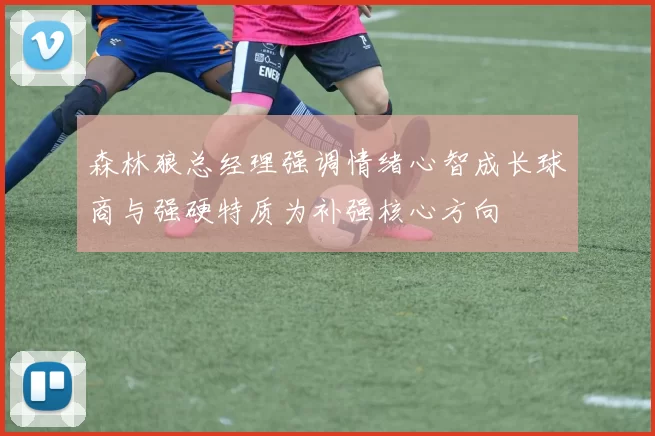 森林狼总经理强调情绪心智成长球商与强硬特质为补强核心方向